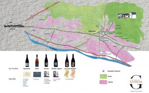 le vignoble gouron viticulteur